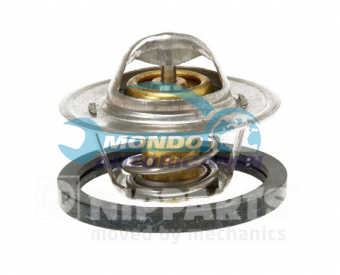 TERMOSTATO, TERMOINTERRUTTORE