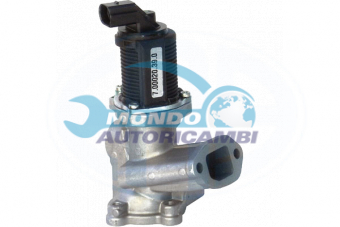VALVOLA EGR, DSIPOSITIVO CONTROLLO EMISSIONE SCARICO, GRUPPO EGR, VALVOLA RICIRCOLAZIONE GAS, VALVOLA RICIRCOLO GAS SCARICO