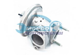 VALVOLA EGR, DSIPOSITIVO CONTROLLO EMISSIONE SCARICO, GRUPPO EGR, VALVOLA RICIRCOLAZIONE GAS, VALVOLA RICIRCOLO GAS SCARICO