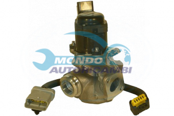 VALVOLA EGR, DSIPOSITIVO CONTROLLO EMISSIONE SCARICO, GRUPPO EGR, VALVOLA RICIRCOLAZIONE GAS, VALVOLA RICIRCOLO GAS SCARICO