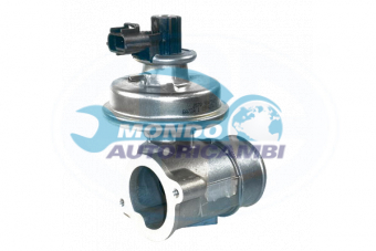 VALVOLA EGR, DSIPOSITIVO CONTROLLO EMISSIONE SCARICO, GRUPPO EGR, VALVOLA RICIRCOLAZIONE GAS, VALVOLA RICIRCOLO GAS SCARICO