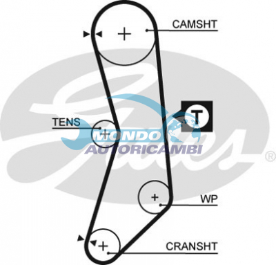Timing Belt