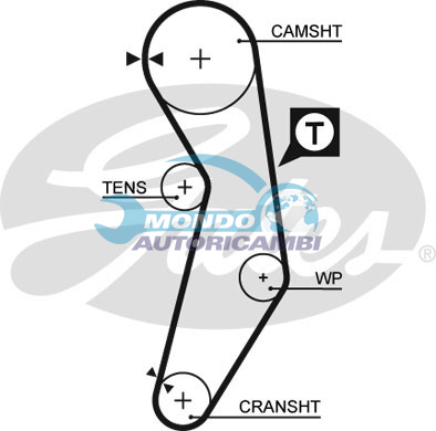 Timing Belt