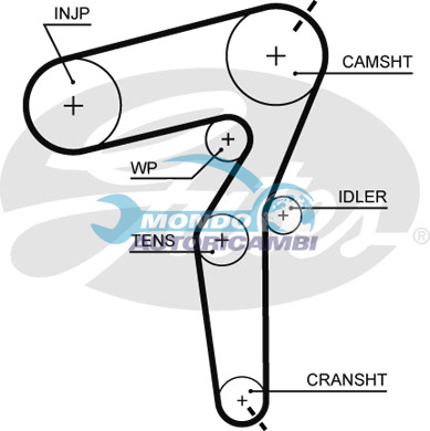 Timing Belt