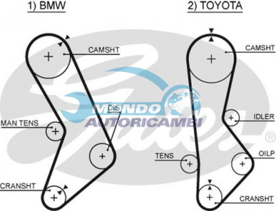 Timing Belt