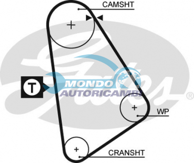Timing Belt