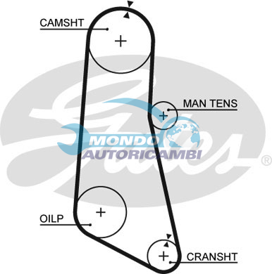 Timing Belt