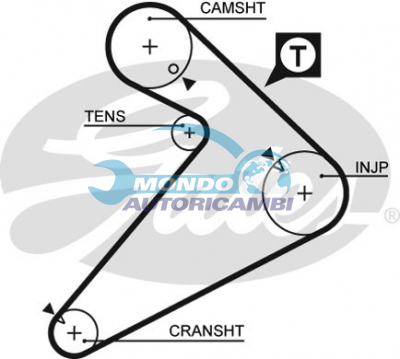 Timing Belt
