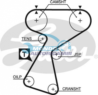Timing Belt
