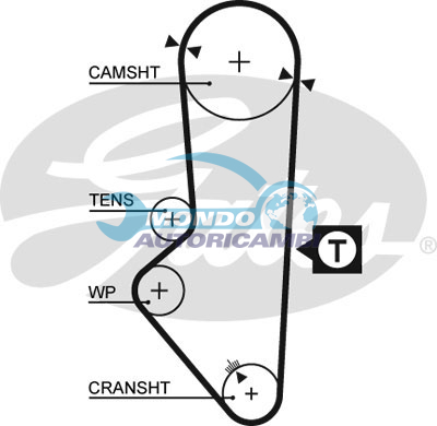 Timing Belt