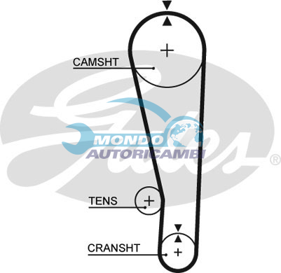 Timing Belt