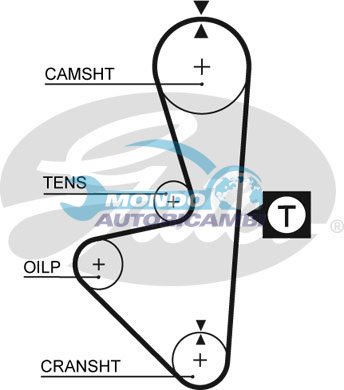 Timing Belt