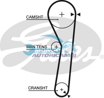 Timing Belt