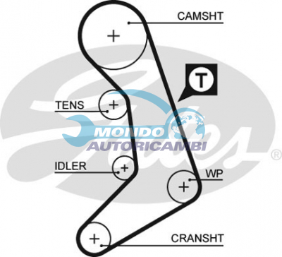 Timing Belt