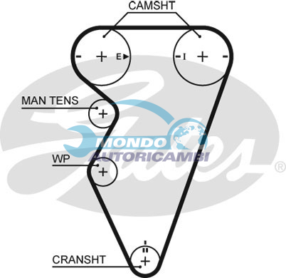Timing Belt