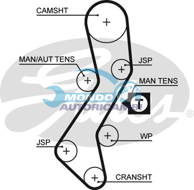 Timing Belt