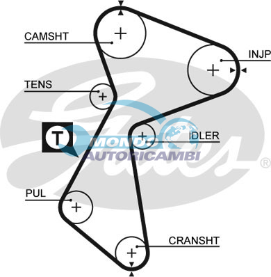 Timing Belt