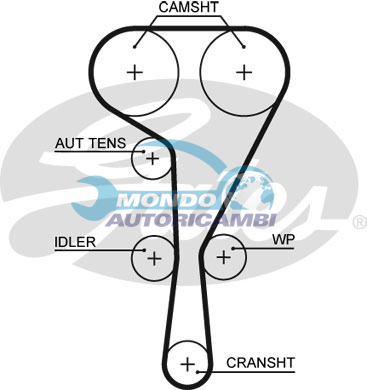 Timing Belt