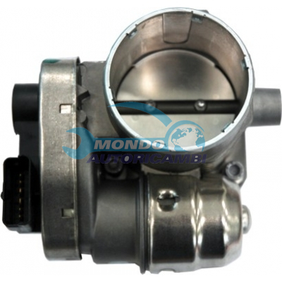 THROTTLE BODY