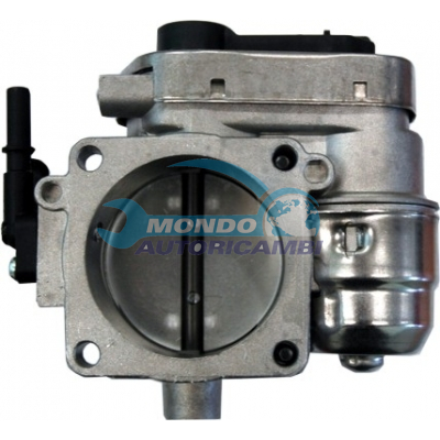 THROTTLE BODY