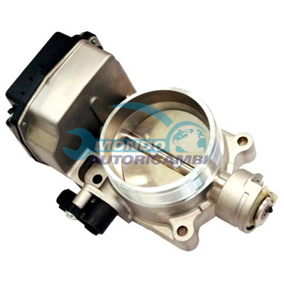 THROTTLE BODY