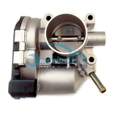 Throttle body