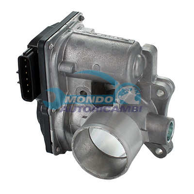 Throttle body
