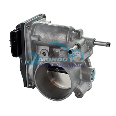 Throttle body