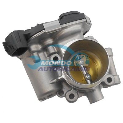 Throttle body