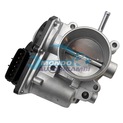 Throttle body