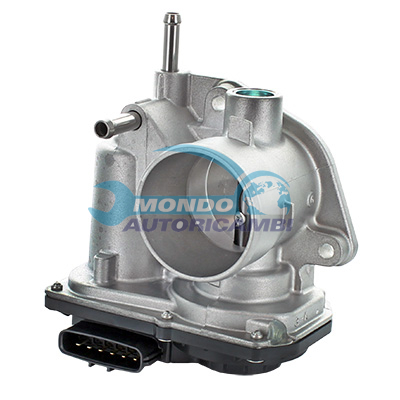 Throttle body