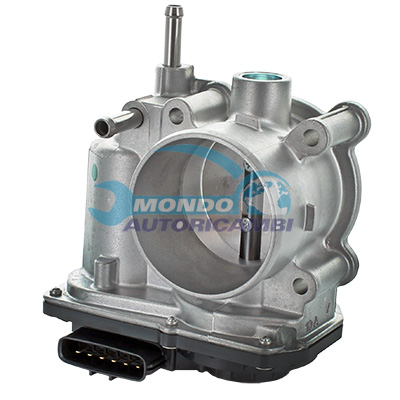 Throttle body