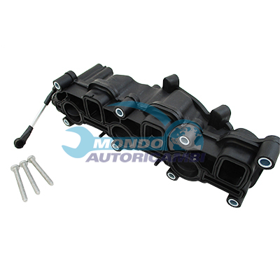 Intake manifold module