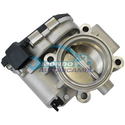 Throttle body