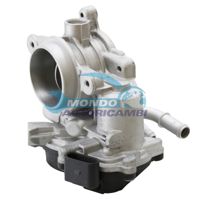 Throttle body