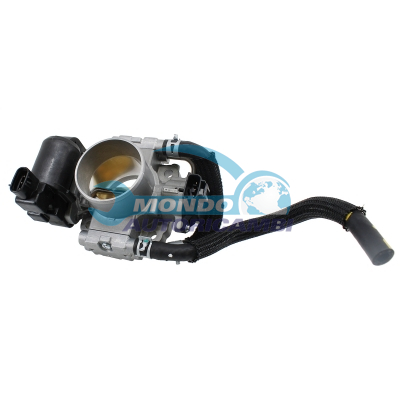 Throttle body