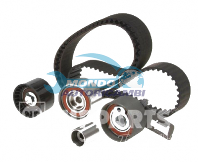 KIT CINGHIE DENTATE