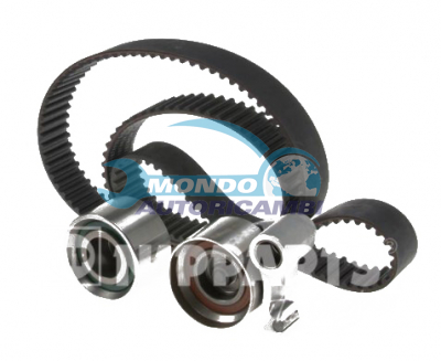 KIT CINGHIE DENTATE