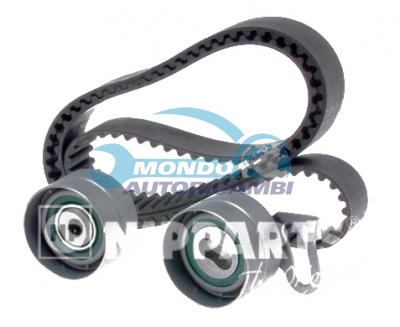 KIT CINGHIE DENTATE